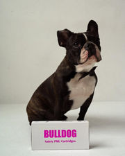 BULDOG membrane cartridges
